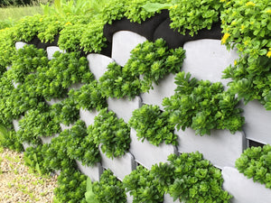 Open image in slideshow, Vertical Garden and Living Retaining Wall Blocks (Set of 10)

